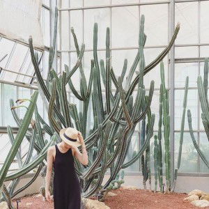 Chaaeem Tipgangvalwong profile icon