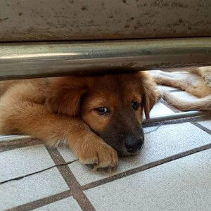 Panida Sukhawattano profile icon