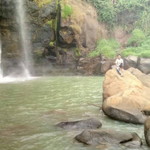 Karmila Dewi Gunawan profile icon