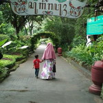 Mutawakkil Septi Z profile icon