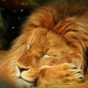 So Happy  Every Time profile icon