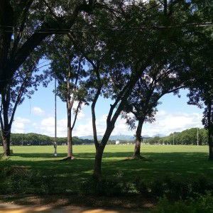 Trishanne Curtney Aicnelav profile icon