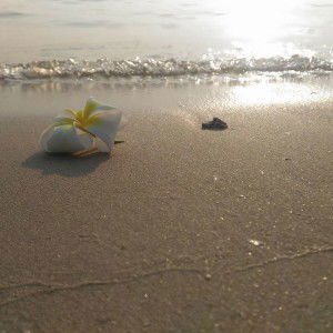 สำราญ จันทร์วงศ์ profile icon