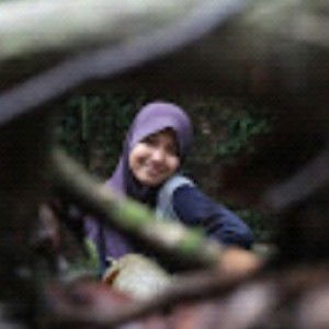 amiratul aisyah abdul aziz profile icon