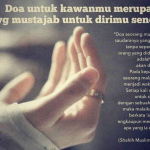 Qibti Lombok profile icon