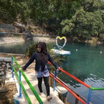 Anis Celluler profile icon