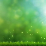 Teti Sri Mulyati Hidayat profile icon