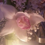 Orchid Sue profile icon