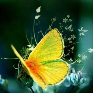 Cica Cahyati profile icon