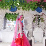 Nonia Qolby profile icon