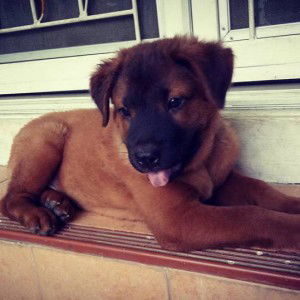 ยุ้ย ย' งัย profile icon