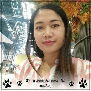 Sumitra Kukkee profile icon