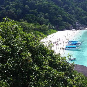 Rt Marsh profile icon