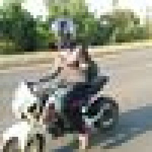 Nattaphon Yonsuk profile icon