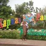 Lidia Amalia profile icon