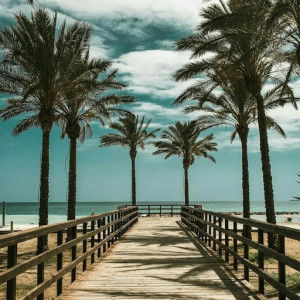 Ivana Sita Safitri profile icon