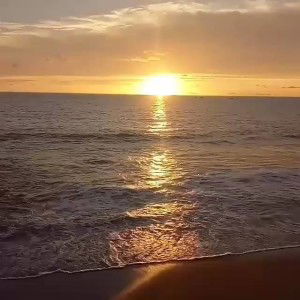 Rindu Senja profile icon