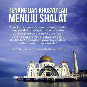 Mita Mita profile icon