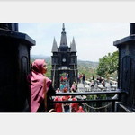 Nabila Ikhsan Rindani profile icon