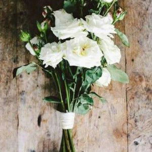 Lolita Puspita Ningrum profile icon