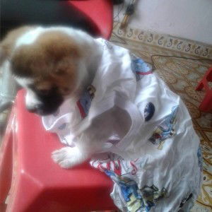 Bui Long Nhat profile icon