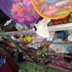 Dyah Kosmetik Kuala Tungkal profile icon