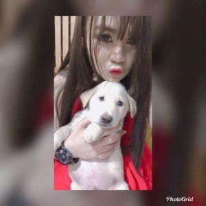 Avalin Srila profile icon