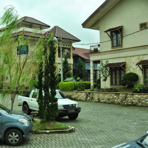 Anggia Fioni profile icon