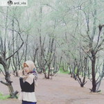 Yola Vila profile icon