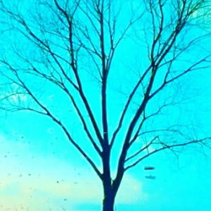 Ericha Fanita profile icon