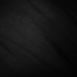 Lisiane Querimit profile icon