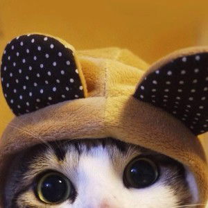 New Reskita profile icon