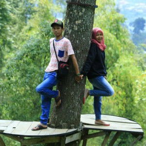 Anis Martini profile icon