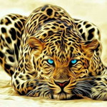 nursyafika profile icon