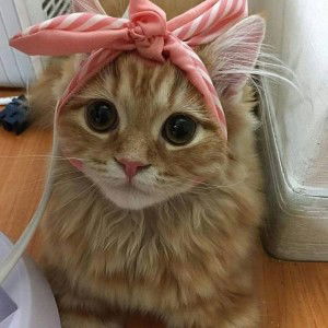 Elly Nursafari Oktafia profile icon