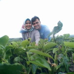 Rani Indikia profile icon