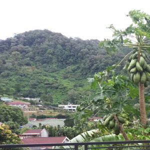 Riri Sari profile icon