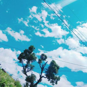 Elly Lestari profile icon