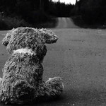 Tae Eiei profile icon