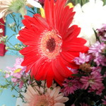 Diana Queenbee profile icon