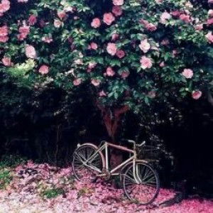 Sweety “mhiee” Young profile icon