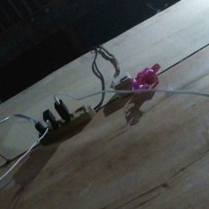 Anita Mega Sari profile icon