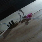 Anita Mega Sari profile icon