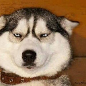 Snow Ice profile icon