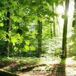 Ngatimin Ahmad profile icon