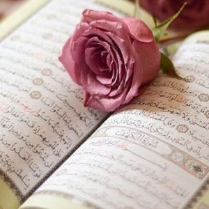 Tri Murni profile icon