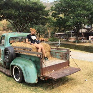 Lin Nibar profile icon