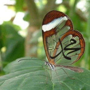 Nurfijrin Ramadhani profile icon