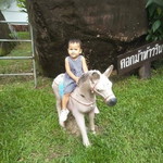 Mami Punpun profile icon