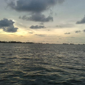 Amelinda Widianti profile icon